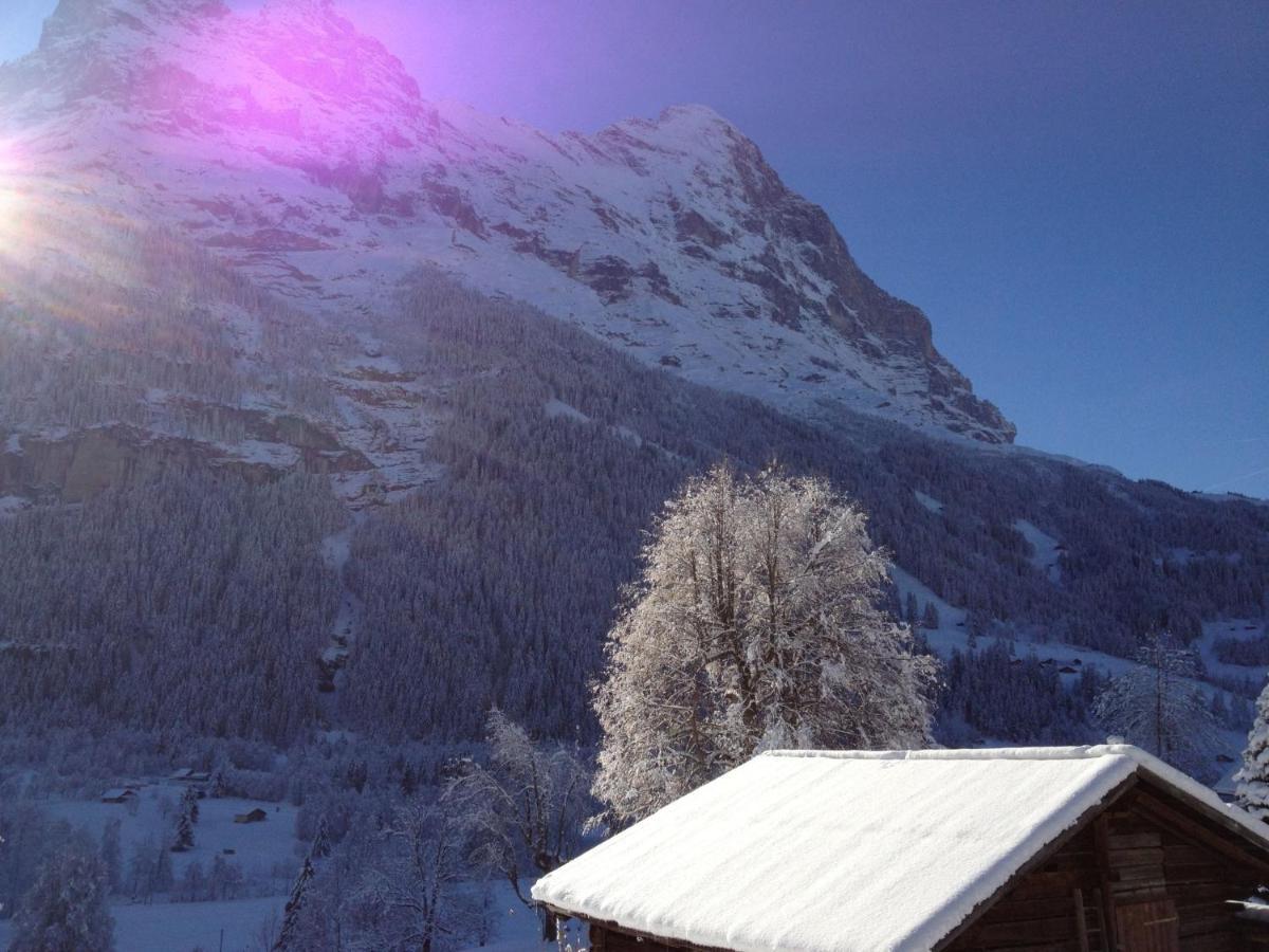 Apartment Chalet Baergsunna-1 By Interhome Grindelwald Exterior foto
